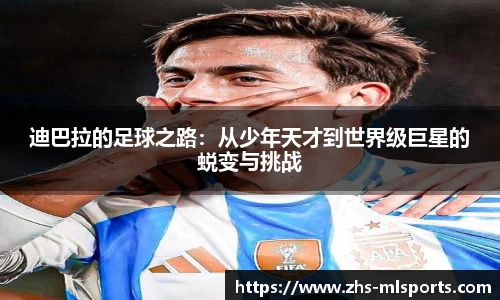 米兰体育官网